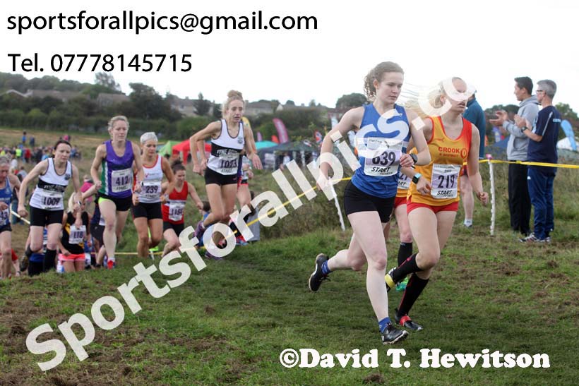 Senior womens Start Fitness North Eastern Harriers League, Wrekenton, Gateshead. Photo:  David T. Hewitson/Sports for All Pics
